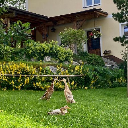 Heissgut Apartamento Altenmarkt im Pongau Exterior foto
