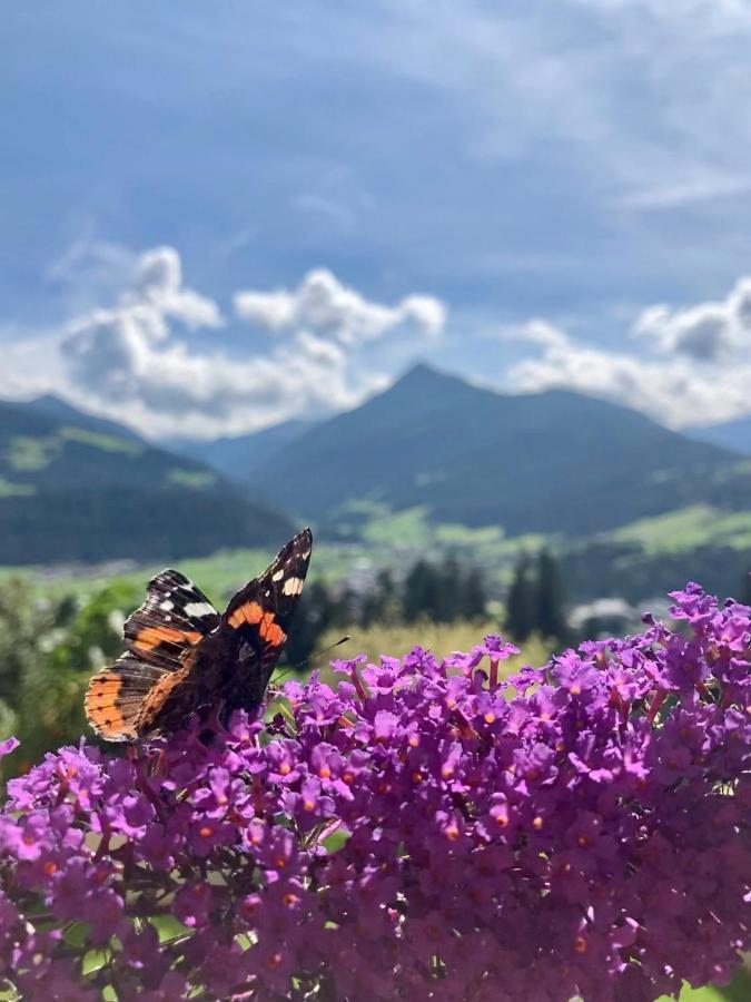 Heissgut Apartamento Altenmarkt im Pongau Exterior foto
